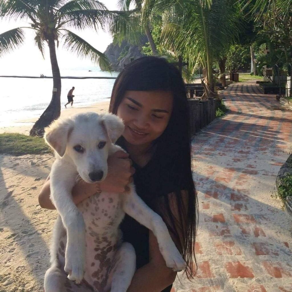 Bangkok Brow Art by Anny