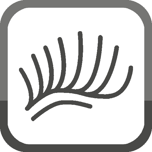 Bangkok Brow Art by Anny